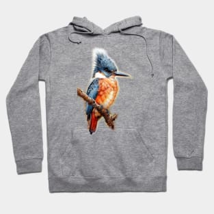 Kingfisher - Wildlife Hoodie